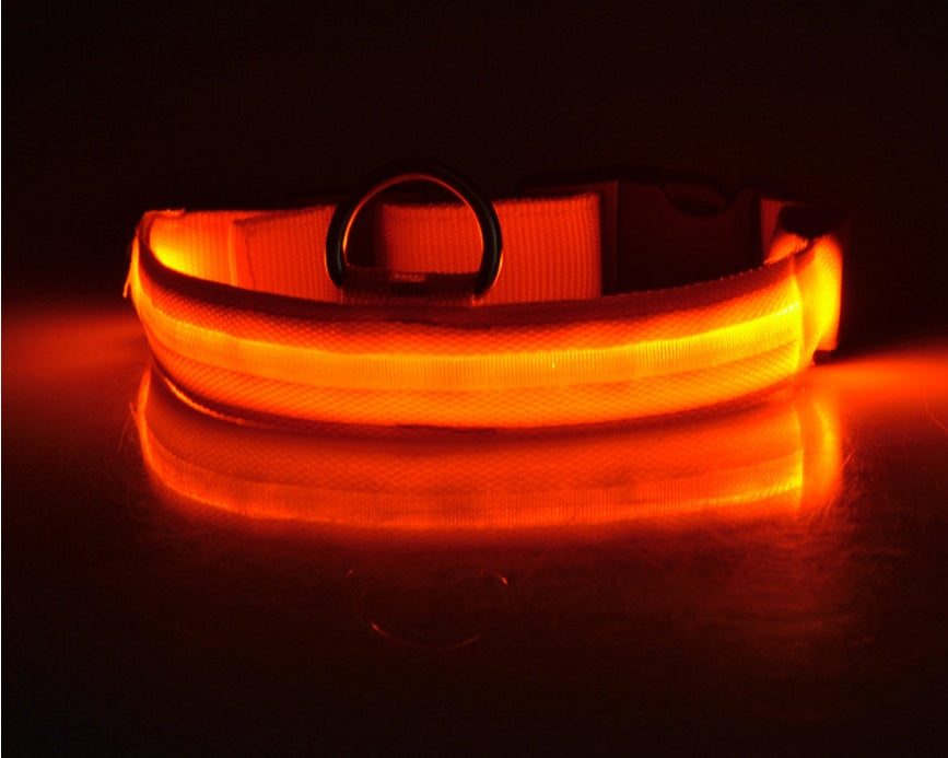 Nylon LED Pet Dog Luminous Collar Night Safety Flashing Glow in Dark Dog Cat Leash Adjustable Pet Supplies - Trends Zone