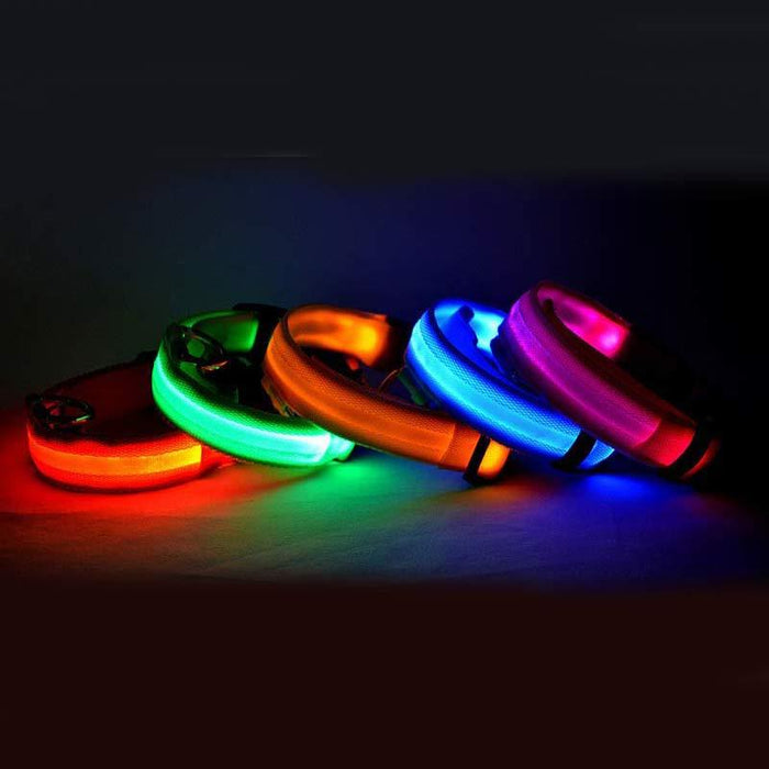 Nylon LED Pet Dog Luminous Collar Night Safety Flashing Glow in Dark Dog Cat Leash Adjustable Pet Supplies - Trends Zone