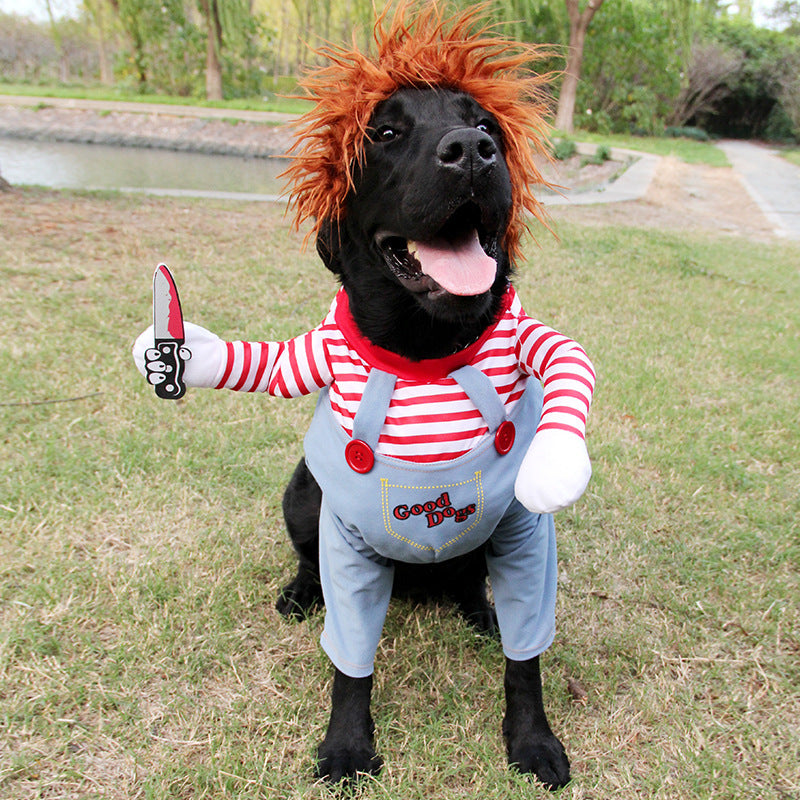 Spooky & Adorable: Halloween Pet Costume – Make Your Pet the Star of the Party! - Trends Zone