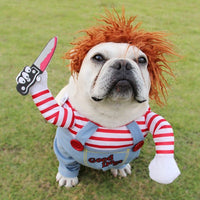 Spooky & Adorable: Halloween Pet Costume – Make Your Pet the Star of the Party! - Trends Zone