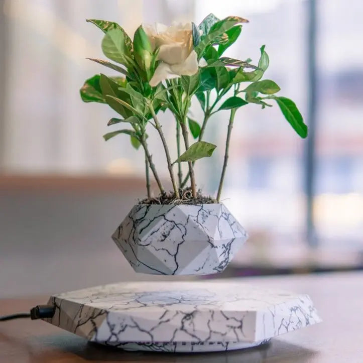 Magnetic Floating Planter – Modern Elegance in the Air - Trends Zone