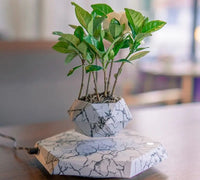 Magnetic Floating Planter – Modern Elegance in the Air - Trends Zone