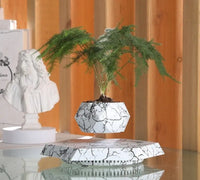 Magnetic Floating Planter – Modern Elegance in the Air - Trends Zone
