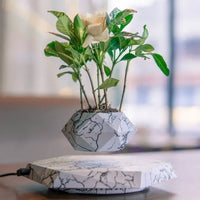 Magnetic Floating Planter – Modern Elegance in the Air - Trends Zone