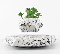 Magnetic Floating Planter – Modern Elegance in the Air - Trends Zone