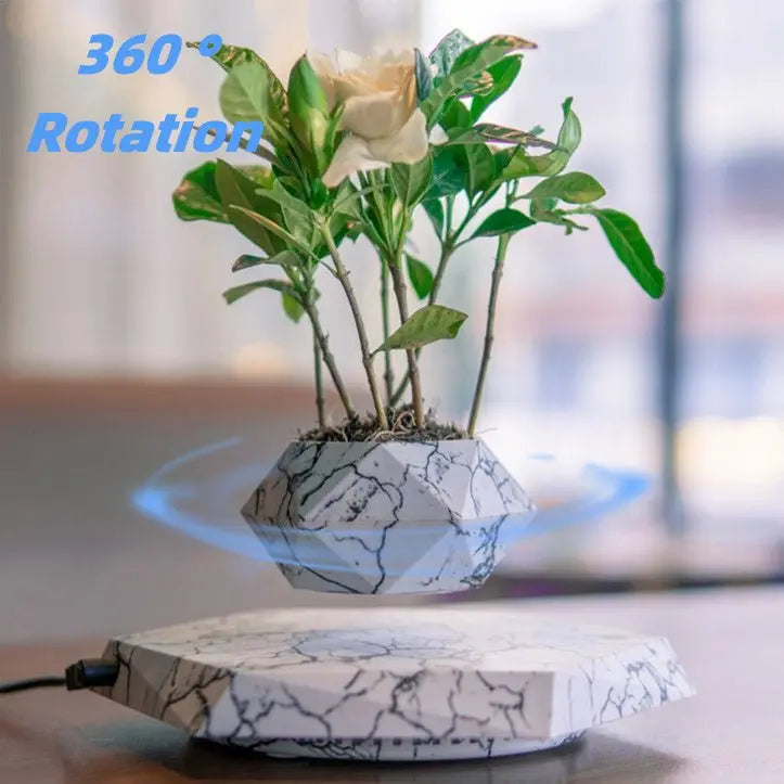 Magnetic Floating Planter – Modern Elegance in the Air - Trends Zone