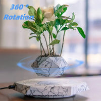 Magnetic Floating Planter – Modern Elegance in the Air - Trends Zone