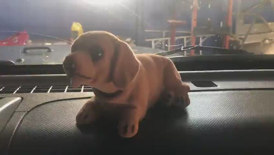 PawMotion Dashboard Friend